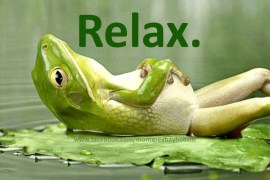 relax-frog